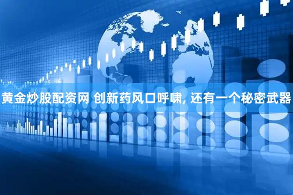 黄金炒股配资网 创新药风口呼啸, 还有一个秘密武器