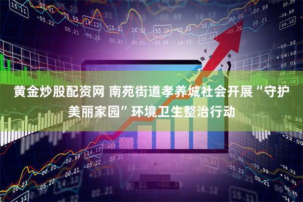 黄金炒股配资网 南苑街道孝养城社会开展“守护美丽家园”环境卫生整治行动